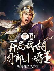 三国：开局截胡周郎小霸王